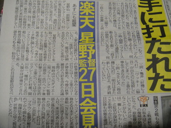期待大!!