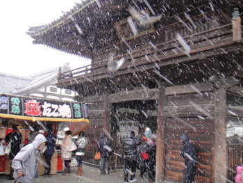 豊川稲荷☆