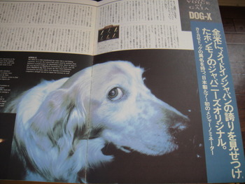 旧DOG-X