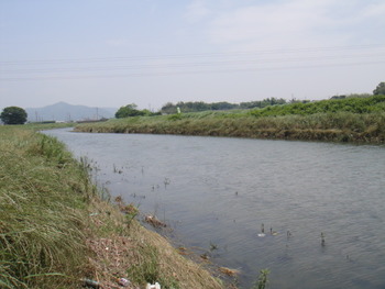 リサーチ。