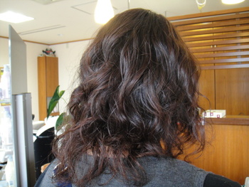今日のお客様☆