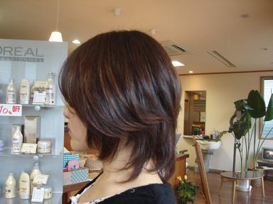 今日のお客様☆