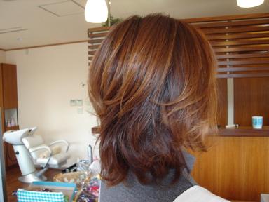 今日のお客様☆