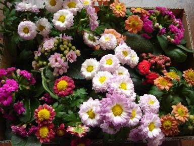 花☆