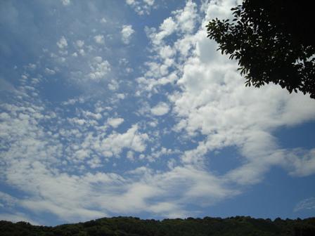 あかん　・・・・・　(-公-、)