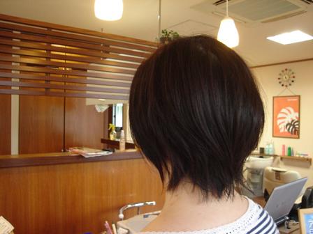 今日のお客様☆