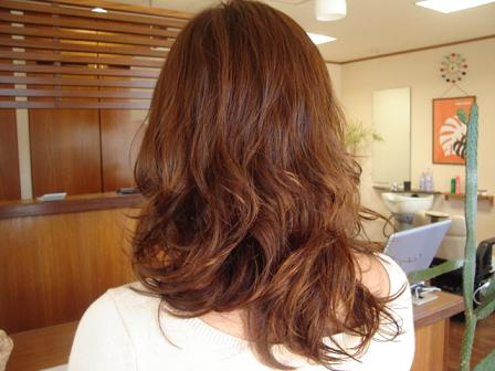今日のお客様☆
