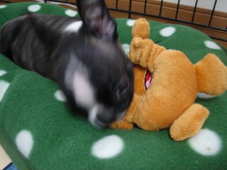 頂いちゃいましたッ！！