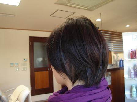 今日のお客様☆