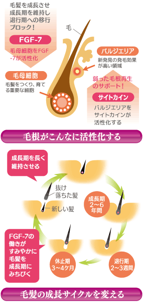 ☆ルートナノシャンプーの紹介☆