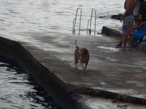クロアチア　ドゥブロブニク〜世界遺産