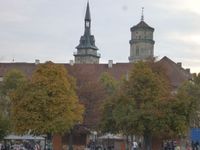 紅葉 Stuttgart 2011/11/08 06:14:55
