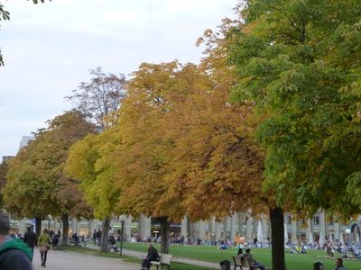 紅葉 Stuttgart