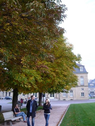 紅葉 Stuttgart