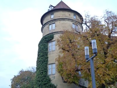 紅葉 Stuttgart