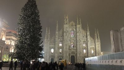 クリスマスまであと20日かな