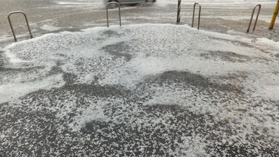 ５月なんだけど・・・・