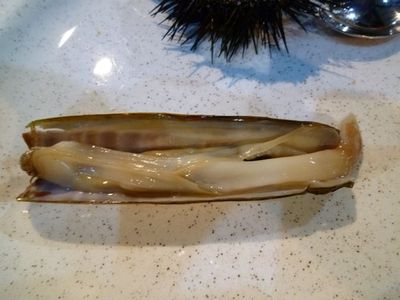 秋深し〜