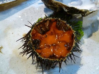 秋深し〜
