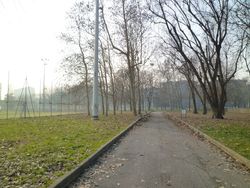 Capodanno （元旦）
