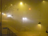 霧・・・・・ 2011/01/18 05:55:25