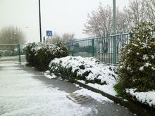 Bologna 雪！　雛祭りなんだけど・・・