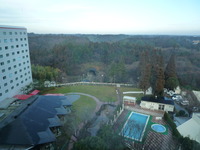 JAL に乗るぞ 2010/01/13 11:06:55