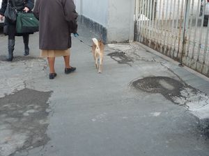 ミラノで楽器屋探し　