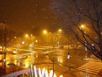 イタリア人らしさ 2010/03/15 05:38:30