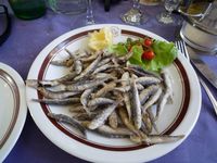 クロアチア　ドゥブロブニク〜世界遺産その弐