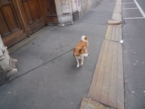 〔日曜日の散歩〕これもミラノの街角