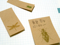 片付けの習慣