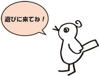 輪.コムvol.14　ライブスケジュール