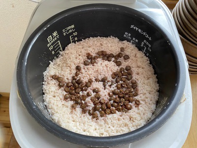 今日のお昼ご飯