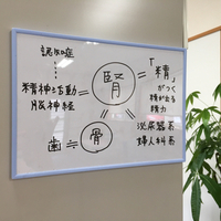 東洋医学でいう 『腎』 って？
