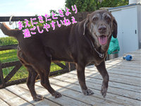 ④マイペース 2013/09/06 17:25:00