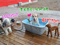 ④つかの間の隠れ家 2013/09/07 15:54:00