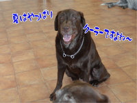 ②僕の本気 2013/09/07 14:11:30