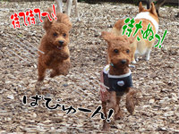 ④言われた通りにしただけなのに… 2013/09/08 16:21:11