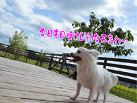 ③これはもしや… 2013/09/09 15:07:55