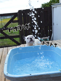 ⑤私は私 2013/09/09 17:32:39
