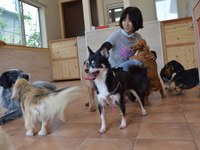 ⑤本日のダイジェスト 2013/09/10 17:56:00