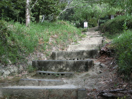 GW最終日のお散歩