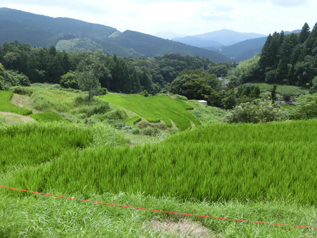 夏休み