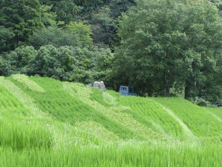 夏休み