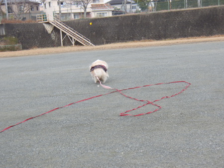 ランラン♪と　お餅拾い♪