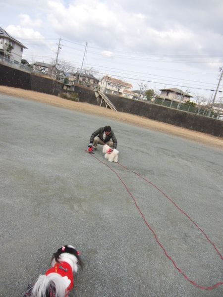 ランラン♪と　お餅拾い♪