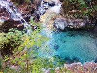 見応え十分な滝と散策が楽しめ自然があふれる場所@付知峡