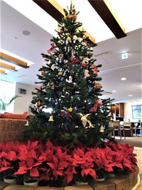 クリスマスツリーがお出迎え 2020/11/29 11:01:54