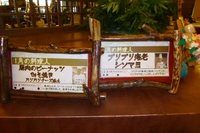 休館日のお知らせ